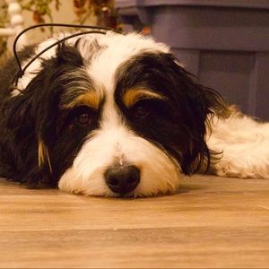 Meet your Posher, John